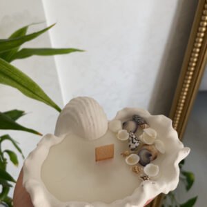 شمعه بالصدف