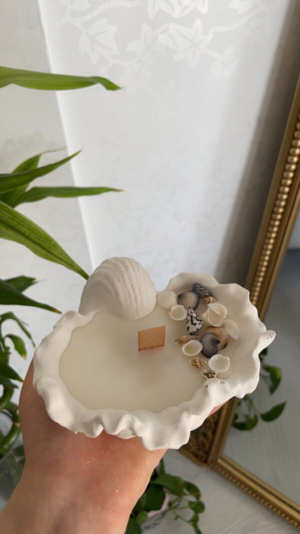 شمعه بالصدف