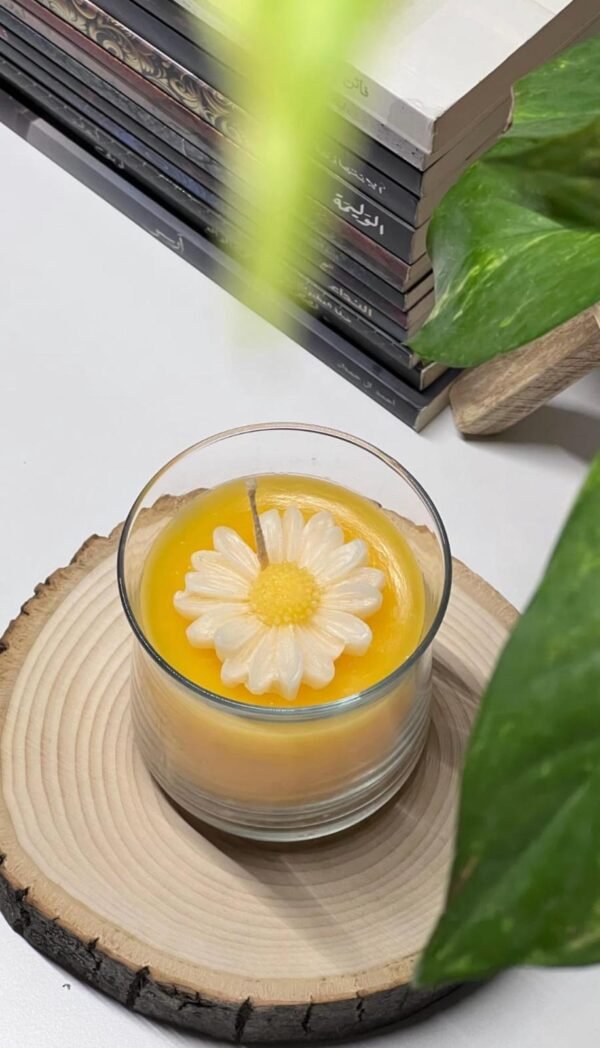 كاسه عباد شمس
